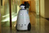 Видеоняня робот R.BOT 100